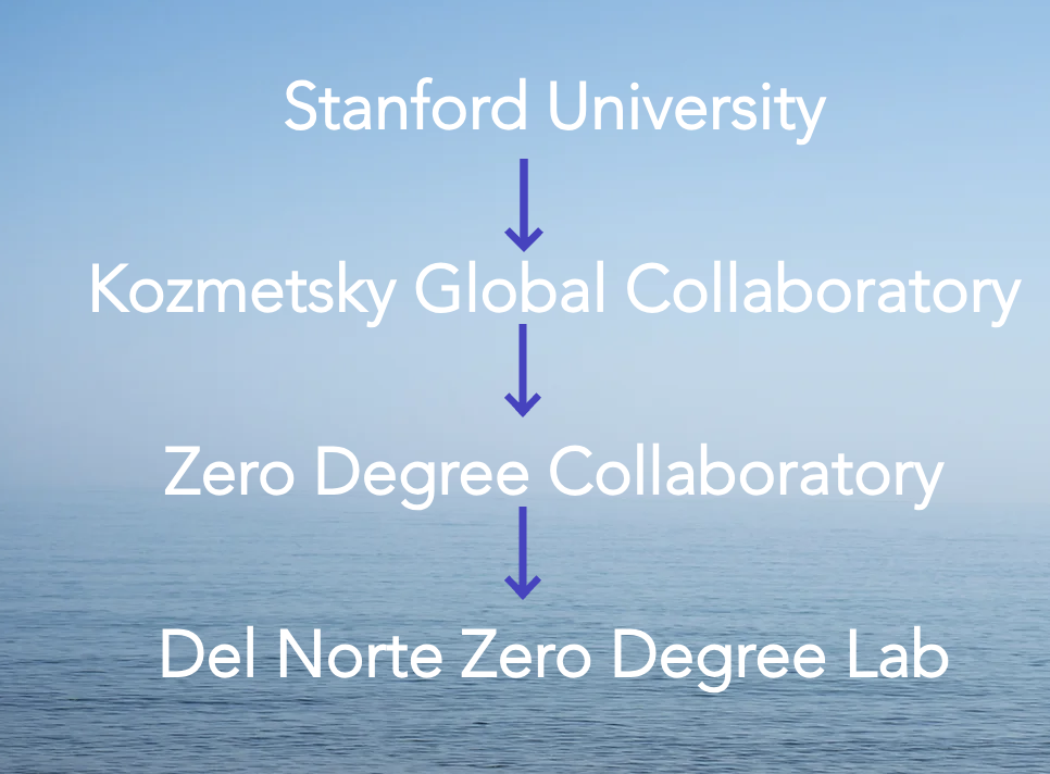 ZDL Heirarchy